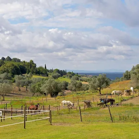 Poggettini Riparbella